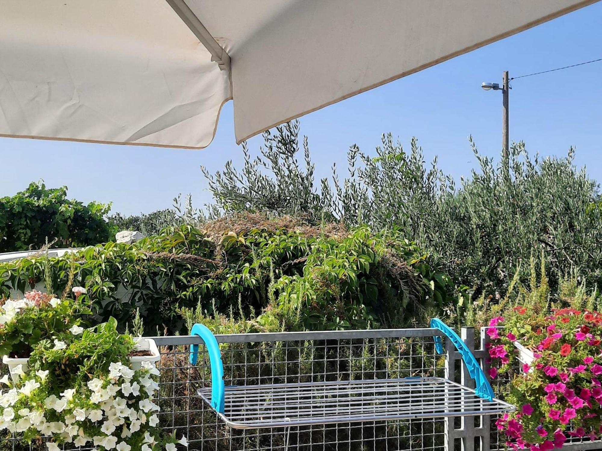 Studio Apartman Mare Trogir Kültér fotó